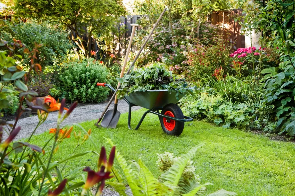 Entretien jardin près de Ceyrat