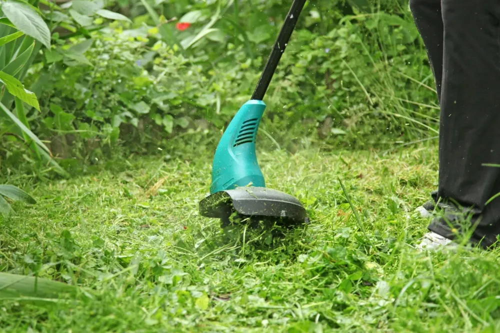 Débroussaillage près de Ceyrat